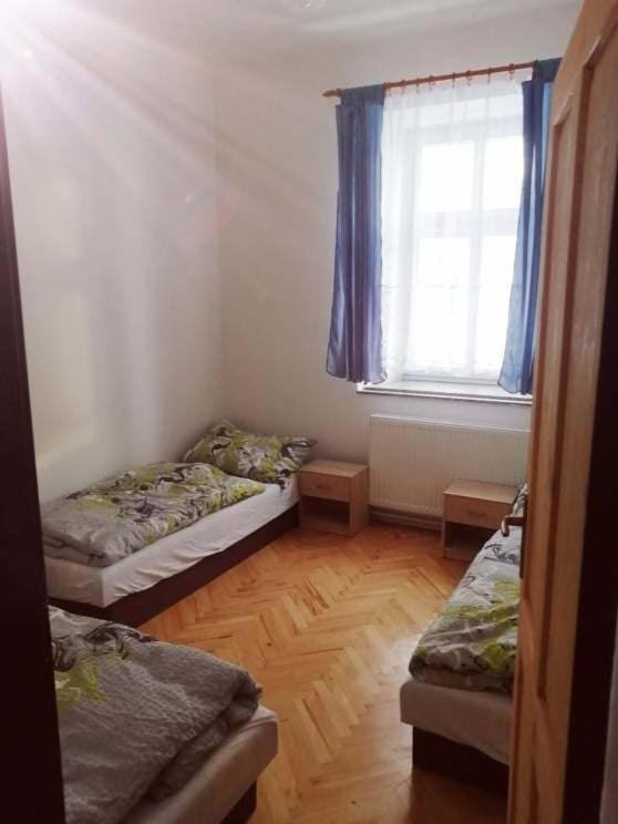 Penzion U Trojice Červená Voda 外观 照片